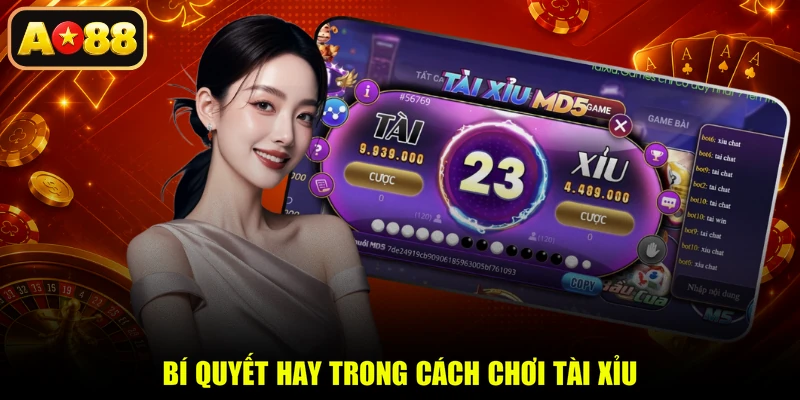 Bí quyết hay trong cách chơi tài xỉu
