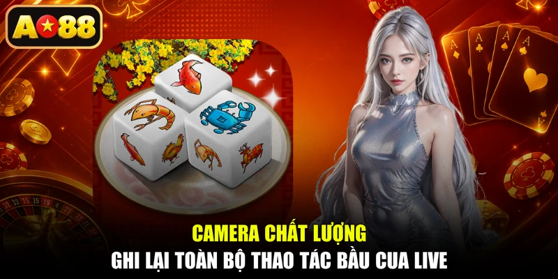 Camera chất lượng ghi lại toàn bộ thao tác bầu cua live