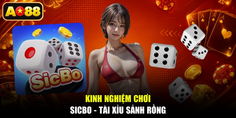 Kinh nghiệm chơi Sicbo - Tài Xỉu Sảnh Rồng