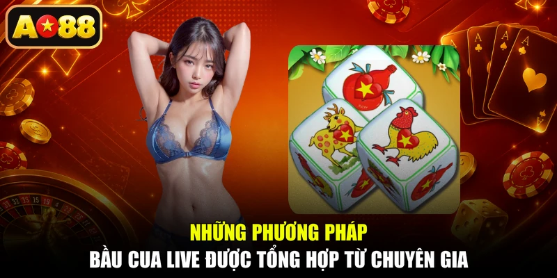 Những phương pháp bầu cua live được tổng hợp từ chuyên gia
